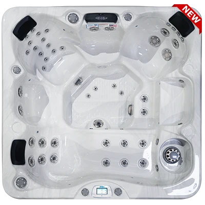 Avalon-X EC-849LX hot tubs for sale in Hartford