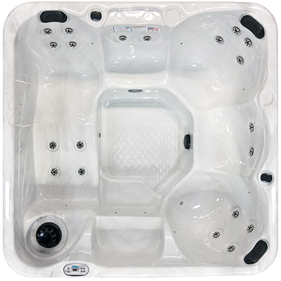 Hawaiian PZ-620L hot tubs for sale in Hartford